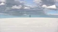 Lonely tree on wintertime HD Footage