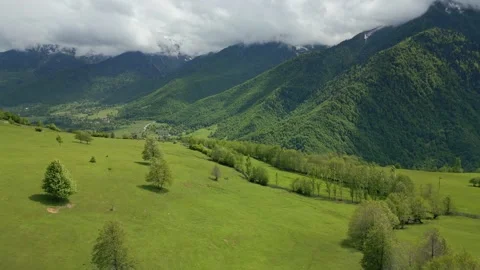 Lonely trees on alpine meadows in mountains, clouds over mountains, aerial view Stock Footage 276966975