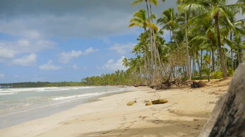 Lonely tropical beach with coconut palms Stock Footage 100200038