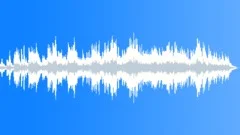 Lonely Tulips Stock Music