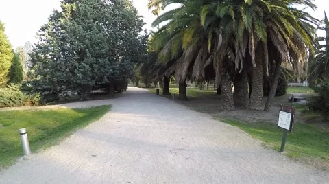 Lonely walk in the park along the path of gravel with different types of trees Stock Footage 47968302