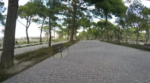 Lonely walk in the park with empty benches on a sunny day Stock Footage 47992692