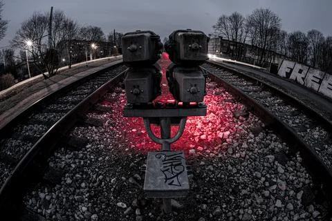 Lonely watcher Stock Photos