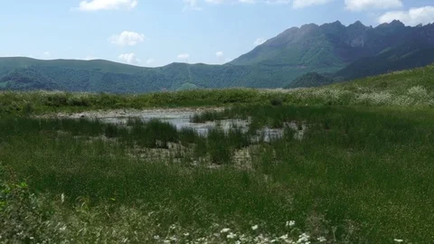 Lonely Water Puddle Video stock 76980217