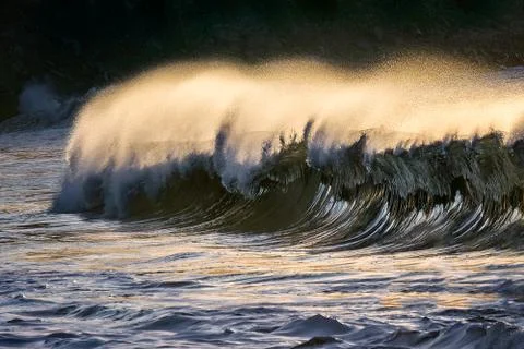 Lonely wave breaking at sunset Stock Photos