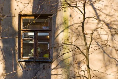 Lonely window in the shadows of branches Stock Photos