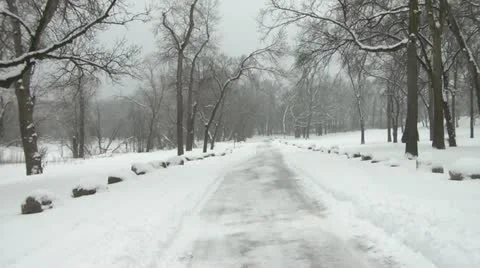 Lonely Winter Road Video stock 11081587