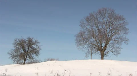 Lonely winter trees 스톡 동영상 1808291