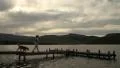Lonely Woman walking along Jetty with Pet Dog HD Footage