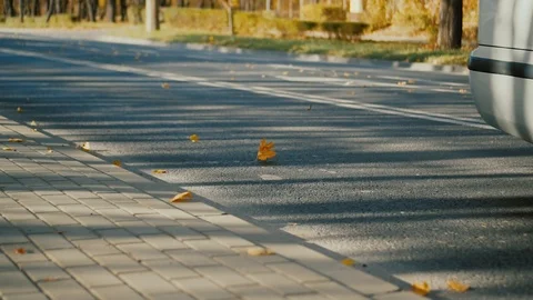 Lonely yellow autumn maple leaf rolling on the road after car. Stock Footage 118776685