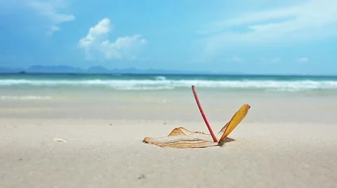 Lonely yellow leaf on the white sands Stock Footage 12682977
