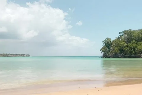 Loneny beach with palms and trees. Playa Grande, Samana, Dominican Republic Stock Footage 281054033