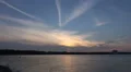 Lonesome bird flying after sunset at beach Timmendorfer Strand HD Footage