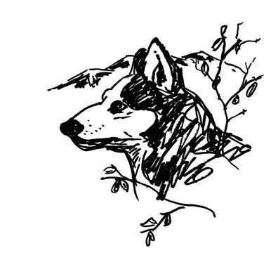 LoneWolf Stock Illustration