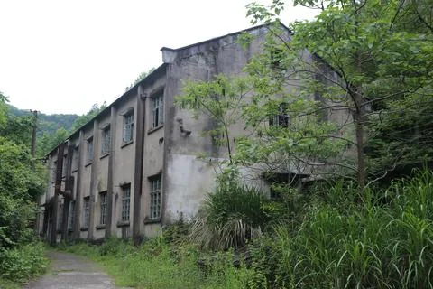 Long abandoned concrete building with rows of windows hidden by trees and t.. Stock Photos