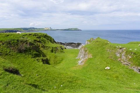 Long abandoned limestone quarry on the cliffs at Cameas Bay, Anglesey. Photos