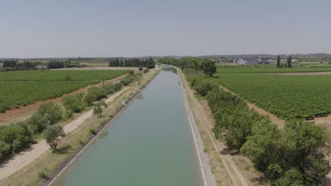 Long aerial perspective of a straight irrigation canal bordered by vineyards and Stock Footage 337991600