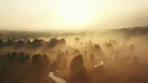 Long aerial zoom out panorama of incredible sunrise valley, trees and winding Video stock 154177553