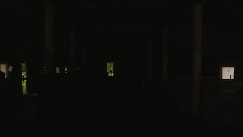 Long and dark barn with small windows and man emerging from far gate into light Vídeos de archivo 317228543