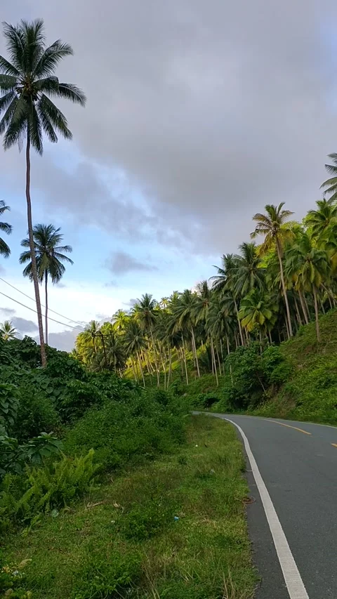 The Long And Empty Road Stock Footage 213587630
