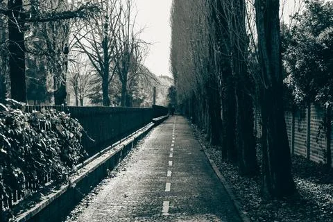 Long and straight cycle path Stock Photos