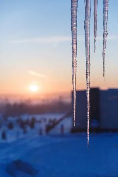 Long and thin icicles on the background of winter dawn. Foto stock