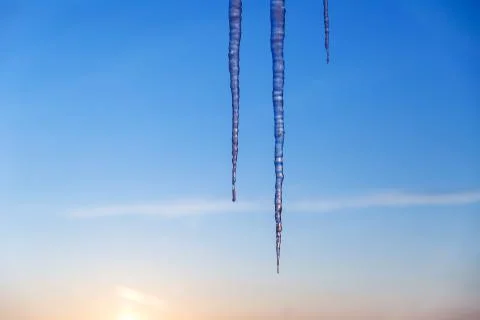 Long and thin icicles on the background of winter dawn. Stock Photos