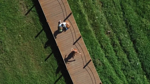 Long-Awaited Meeting Of The Two Lovers In Park Stock Footage 100018702