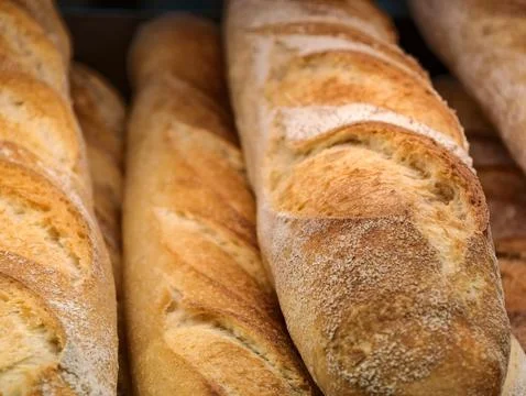 Long baguettes arranged in the bread section of a supermarket, featuring fr.. Stock Photos