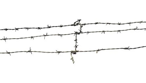 Long barbed wire isolated on white, clipping path Fotos Stock