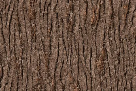 Long bark texture background Stock Illustration