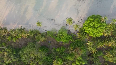 Long Beach and lush forest glow at dawn, Thailand Stock Footage 310268619
