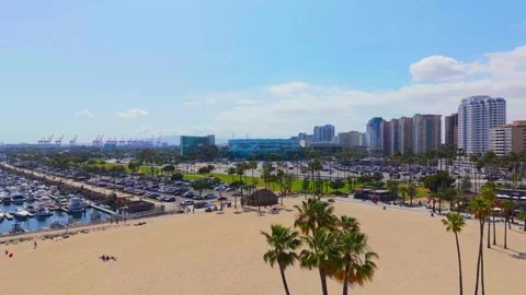 Long Beach Aquarium Approach Stock Footage 341774216
