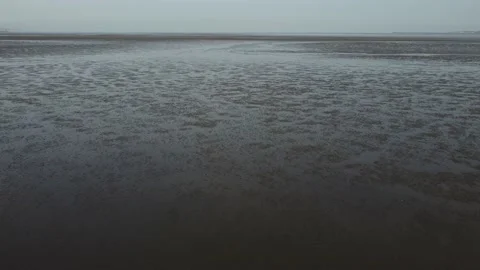 Long beach fly over during low tide Stock Footage 151423901