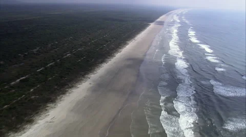 Long Beach In Parque Nacional Do Superagui Stock-Footage 65443306
