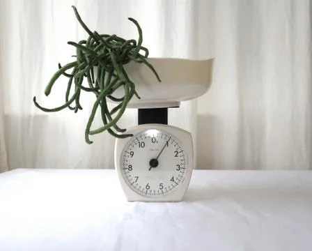 Long Beans on a Scale 스톡 사진