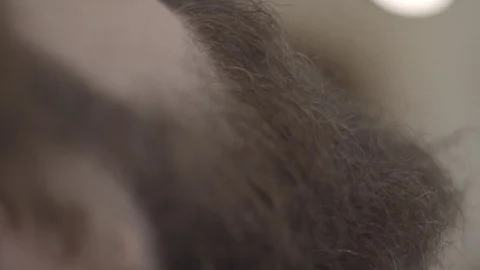 Long beard in detail Stock Footage 71605874