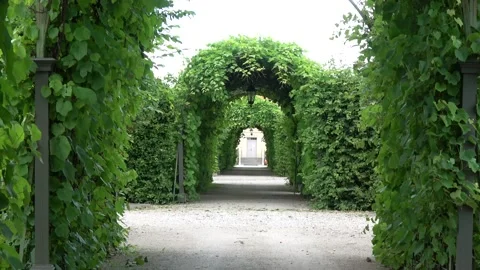 Long beautiful path with pergola in old park, Latvia Stock Footage 141711996