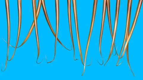 Long blond hair, thin density.Solid blue background. 3d render イラスト素材