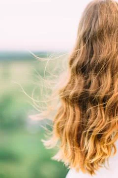 The long blonde curly hair of the bride at the blurred green mountains. Vertical Stock Photos