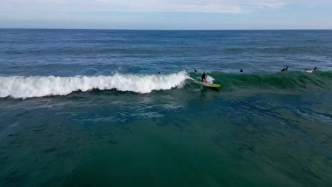 Long board surfing Stock Footage 221423683