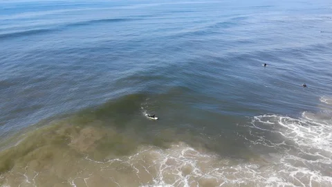 Long Boarding Stock Footage 103785176