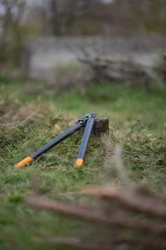 Long branch pruning shears lying on the grass next to a cut stump Foto stock