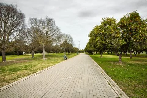 A long brick path running through a public park with trees and green grass .. Stock Photos