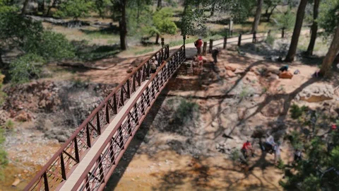 A long bridge over a forest Stock Footage 128840411