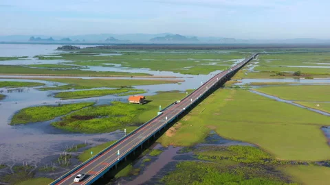 The long bridge pass though Wetland in Phatthalung Stock Footage 138669199