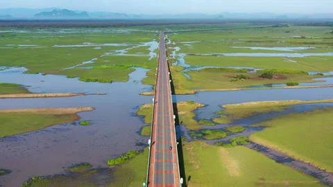 The long bridge pass though Wetland in Phatthalung Stock Footage 138669524