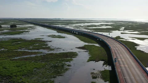 The long bridge pass though Wetland in Phatthalung Stock Footage 138669587