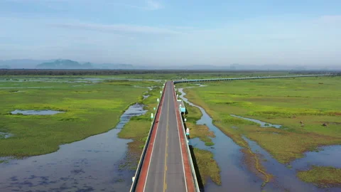 The long bridge pass though Wetland in Phatthalung Stock Footage 138670464