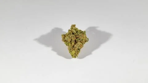 Long cannabis nug studio Stock Photos